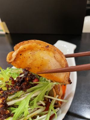 Vegan Gyoza   at  Vegan Place SHUWASHUWA PEACE - シュワシュワピース in Tokyo