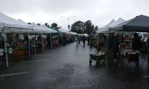 On a rainy day, still loads of farmers at College of San Mateo Farmers' Market in San Mateo