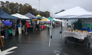On a rainy day. There are also some stands selling tofu, soaps, hummus, nuts and seeds etc.. at College of San Mateo Farmers' Market in San Mateo
