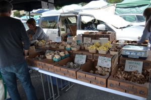 April 2016 at College of San Mateo Farmers' Market in San Mateo