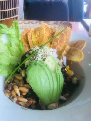 Vegan bowl  at 1835 Coffee Lab in Puerto Ayora