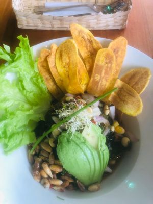 Vegan bowl  at 1835 Coffee Lab in Puerto Ayora