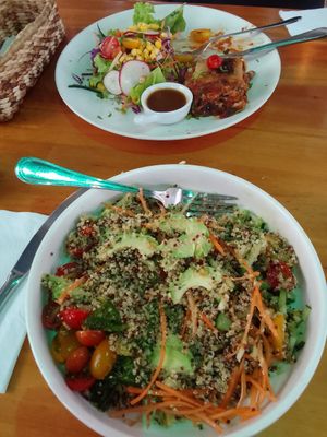  at 1835 Coffee Lab in Puerto Ayora