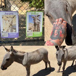   at Love Always Sanctuary in Los Angeles