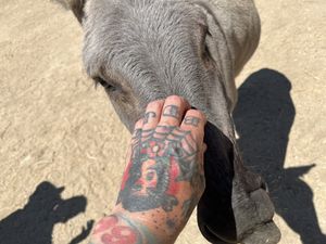   at Love Always Sanctuary in Los Angeles