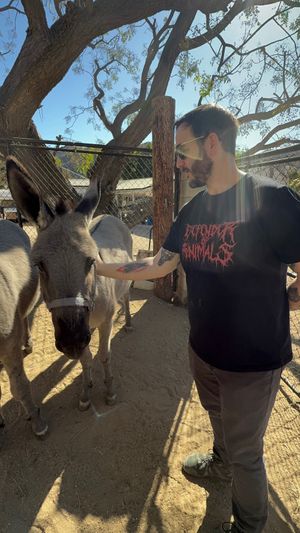  at Love Always Sanctuary in Los Angeles