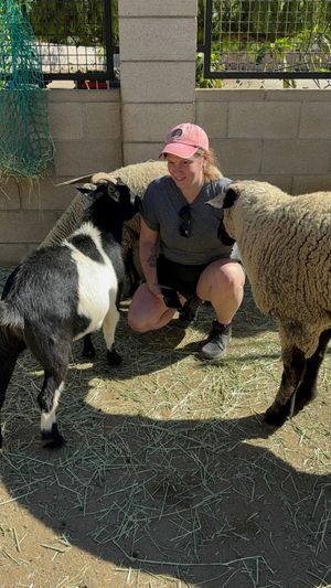  at Love Always Sanctuary in Los Angeles