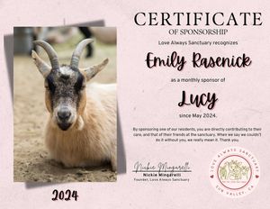 Sponsor a resident for just $10 a month! Visit the website for more info. at Love Always Sanctuary in Los Angeles