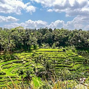 national tourist attraction at Pondok Murini in Ubud
