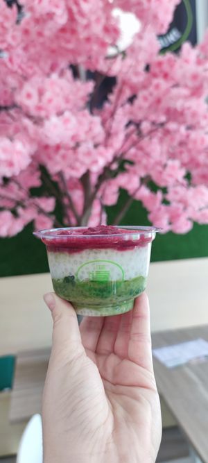 Tapioka matcha puding  at Matcha Tsuki in Budapest