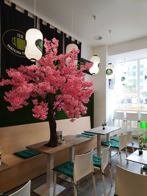  at Matcha Tsuki in Budapest