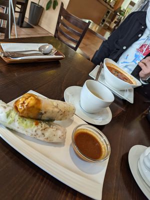 fresh summerrolls with dip at Chay Viet in Berlin