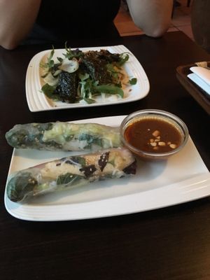 Fresh spring Rolls and national dish at Chay Viet in Berlin