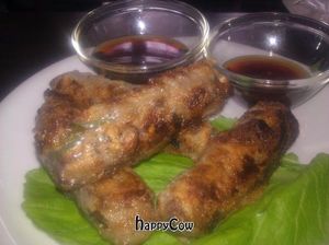 Vietnamese Spring Rolls at Chay Viet in Berlin