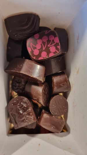 Vegan Pralinen at Chocolatier Van Oost  in Bruges