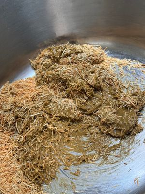  at Chocolatier Van Oost  in Bruges