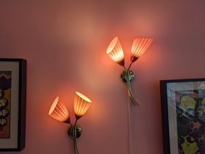  at Nobel Bopel in Bergen