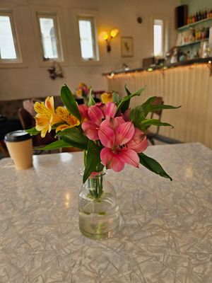  at Nobel Bopel in Bergen