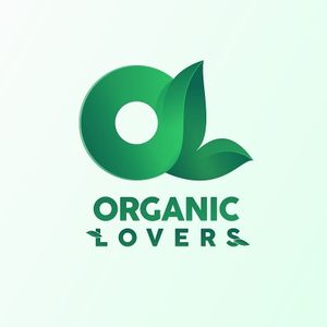 Fast plant based food/ Bio cucina at Organic Lovers Torino in Turin