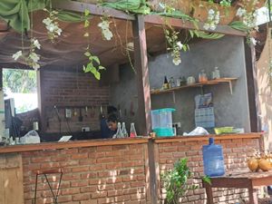 #Veganuary at Squeeze Me in Mirissa