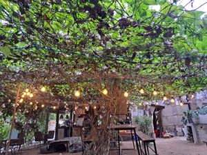  at Squeeze Me in Mirissa