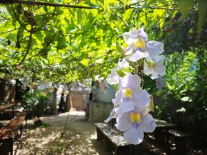  at Squeeze Me in Mirissa