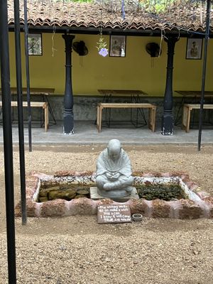   at Squeeze Me in Mirissa