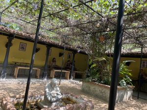   at Squeeze Me in Mirissa