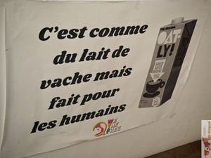  at The Good Place in Montpellier