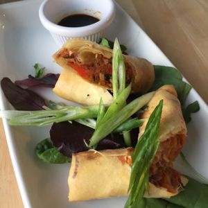 pulled jackfruit hoisin spring rolls  at Sky Apple Cafe in Newcastle Upon Tyne