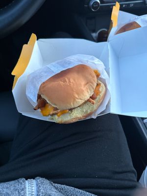 Mushroom BBQ Bacon Burger   at PLNT Burger in Dedham