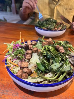   at The Jackfruit Vegan Cafe in Dikwella