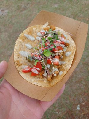 Fervere taco at Seitanic Jax in Jacksonville