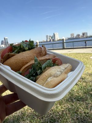   at Seitanic Jax in Jacksonville