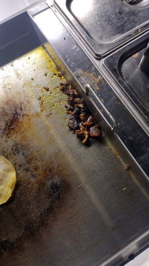 Shitakinitas at hippiestacos in Long Beach