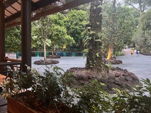 View  at Privé - Botanic Gardens in Central Singapore