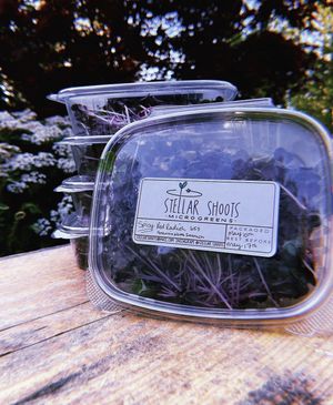   at Deep Cove Market in North Saanich