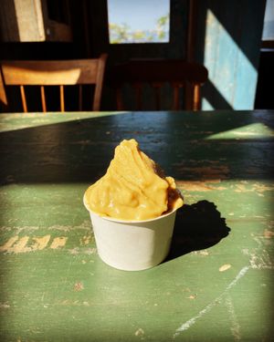 vegan gelato  at Lapita Sherbert in Kagoshima