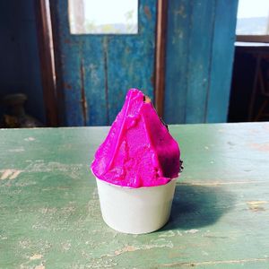 vegan gelato  at Lapita Sherbert in Kagoshima