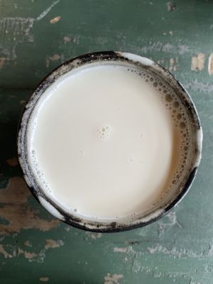   at Lapita Sherbert in Kagoshima