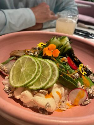   at Raiz Plant Mood in Buenos Aires