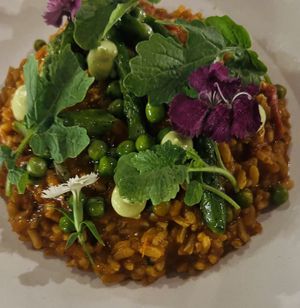 Tomato risotto #Veganuary at Raiz Plant Mood in Buenos Aires