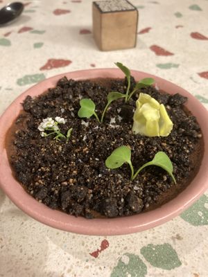   at Raiz Plant Mood in Buenos Aires