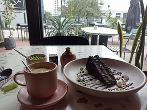  at Raiz Plant Mood in Buenos Aires