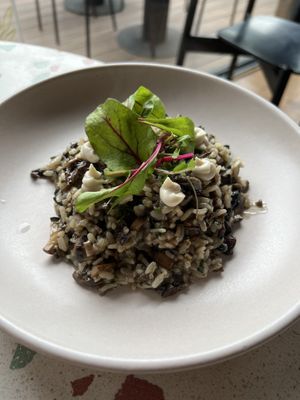 Risotto de hongos  at Raiz Plant Mood in Buenos Aires