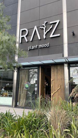 Afuera  at Raiz Plant Mood in Buenos Aires