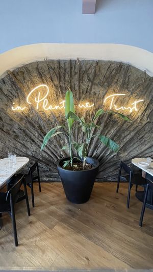 In plants we trust  at Raiz Plant Mood in Buenos Aires