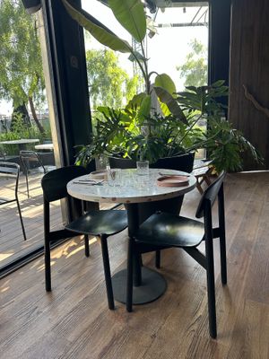   at Raiz Plant Mood in Buenos Aires