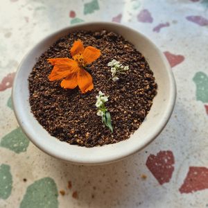  at Raiz Plant Mood in Buenos Aires