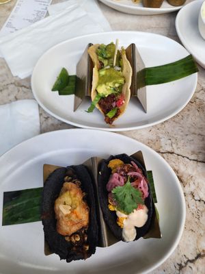 Vegan tacos at Tocaya Modern Mexican in Studio City
